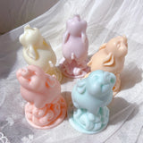 Lovely Baby Pig Silicone Candle Mold - Cute Piggy