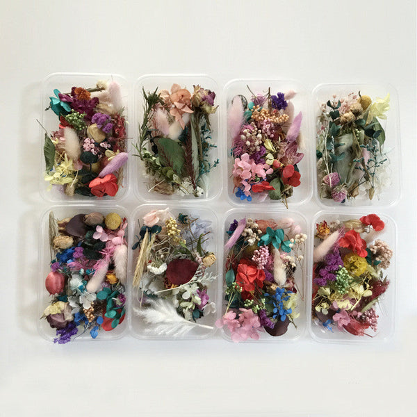 Aromatherapy Dry Flowers for DIY Floating Candle 